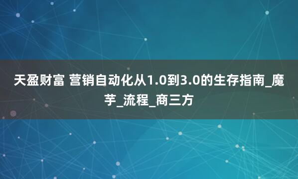 天盈财富 营销自动化从1.0到3.0的生存指南_魔芋_流程_商三方